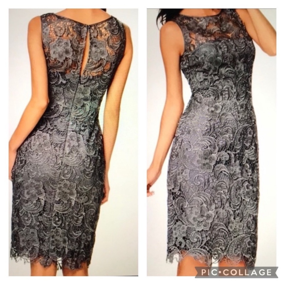 NWT designer Adrianna Papell Lace Dress in elegant Gray hue with built in liner